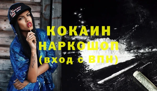 гашик Куйбышев