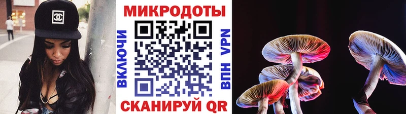 Галлюциногенные грибы GOLDEN TEACHER  Купить  Шацк 